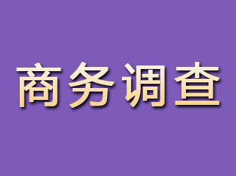 伊通商务调查